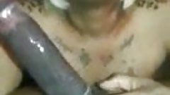 Black shemale sucking hot BBC