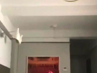 Black shemale fucks guy and a female