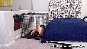 Cherry Mavrick & Jamie in BDSM With Adorable Transsexual Ladies – TransErotica
