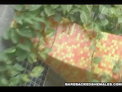 Hardcore Fuck Hot Sheboy Love Bareback