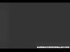 Hot Blonde Shemale Enjoy Sucking Cock Bareback With Cumshot