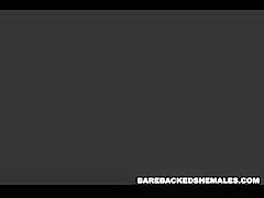 Threesome Shemale Bareback Fucking in Bed Scene