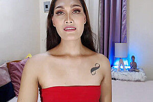 Webcam 294