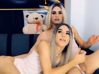 Sizzling Horny Shemale Enjoy Their Dick