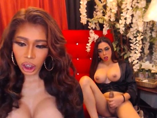 Shemale Couple Get Wild