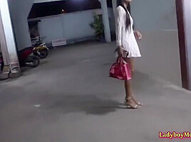 Fearless Guy Picked Up Three Ladyboys Right Away