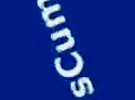 Samantha Doggy Style Cumshot