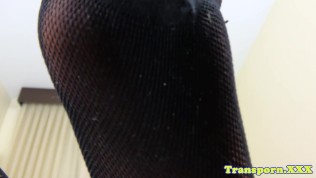 Solo trans beauty toying her ass in stockings